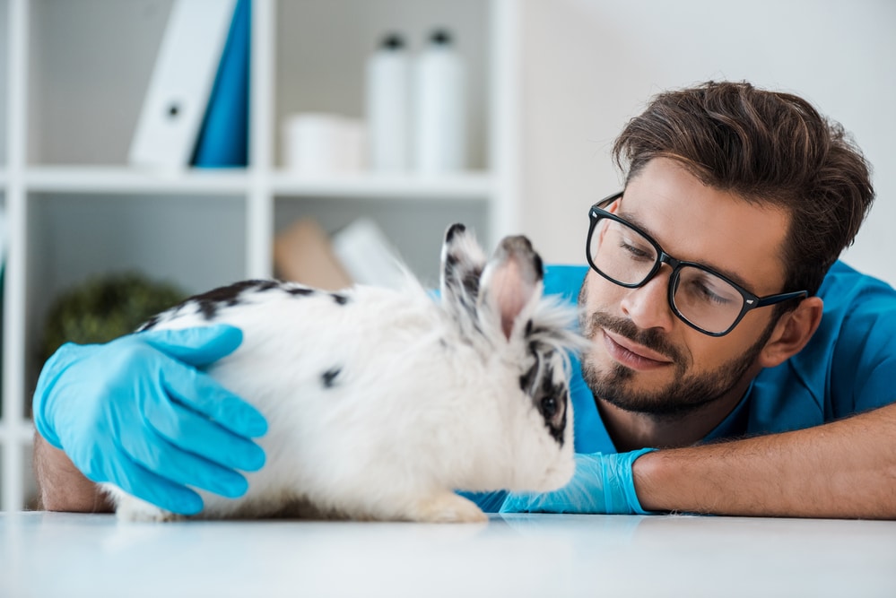 floor coatings for veterinary clinics