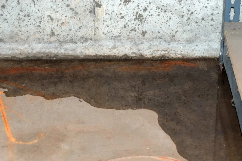 Musty Basement Smell: Why You’re Experiencing It and How a Floor Coating Can Help Musty Basement Smell - Solid Garage Floor Coatings of Utah, Ogden